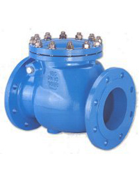 Swing check valves