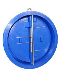 Dual plate wafer check valves