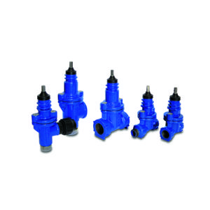 Service valves for house connection