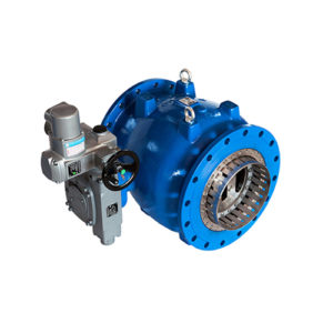 Needle valves 'REGFLUX' standard