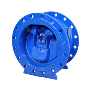 Slanted seat check valve