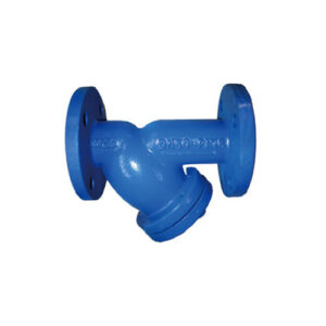 Y strainers