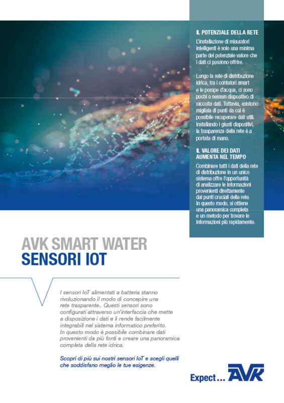 AC.MO Srl | Valves and Technologies for Water World