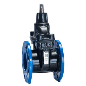 Gate valves Premium AVK 06-52-010